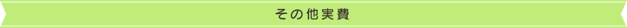 その他実績