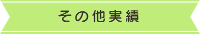 その他実績